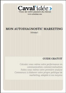 Guide pratique, autodiagnostic marketing